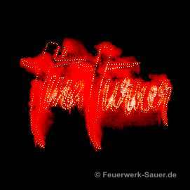 Tina Turner Lichterbild